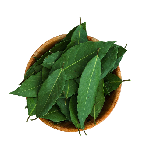 Leaf